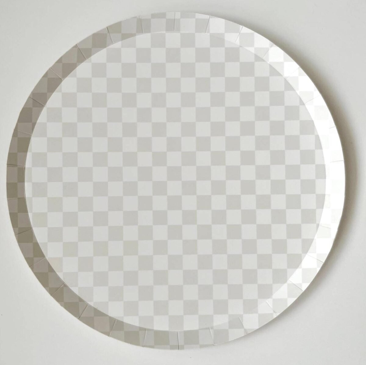 8ct Gray Checkered Dinner Plates 10.25"