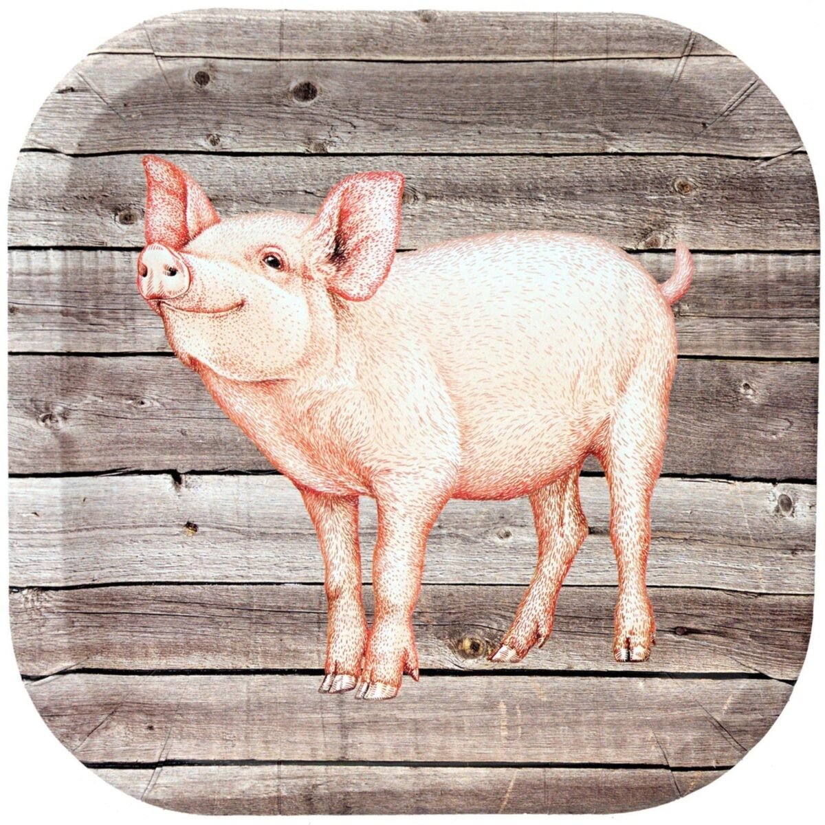 9" Pig Party Plates