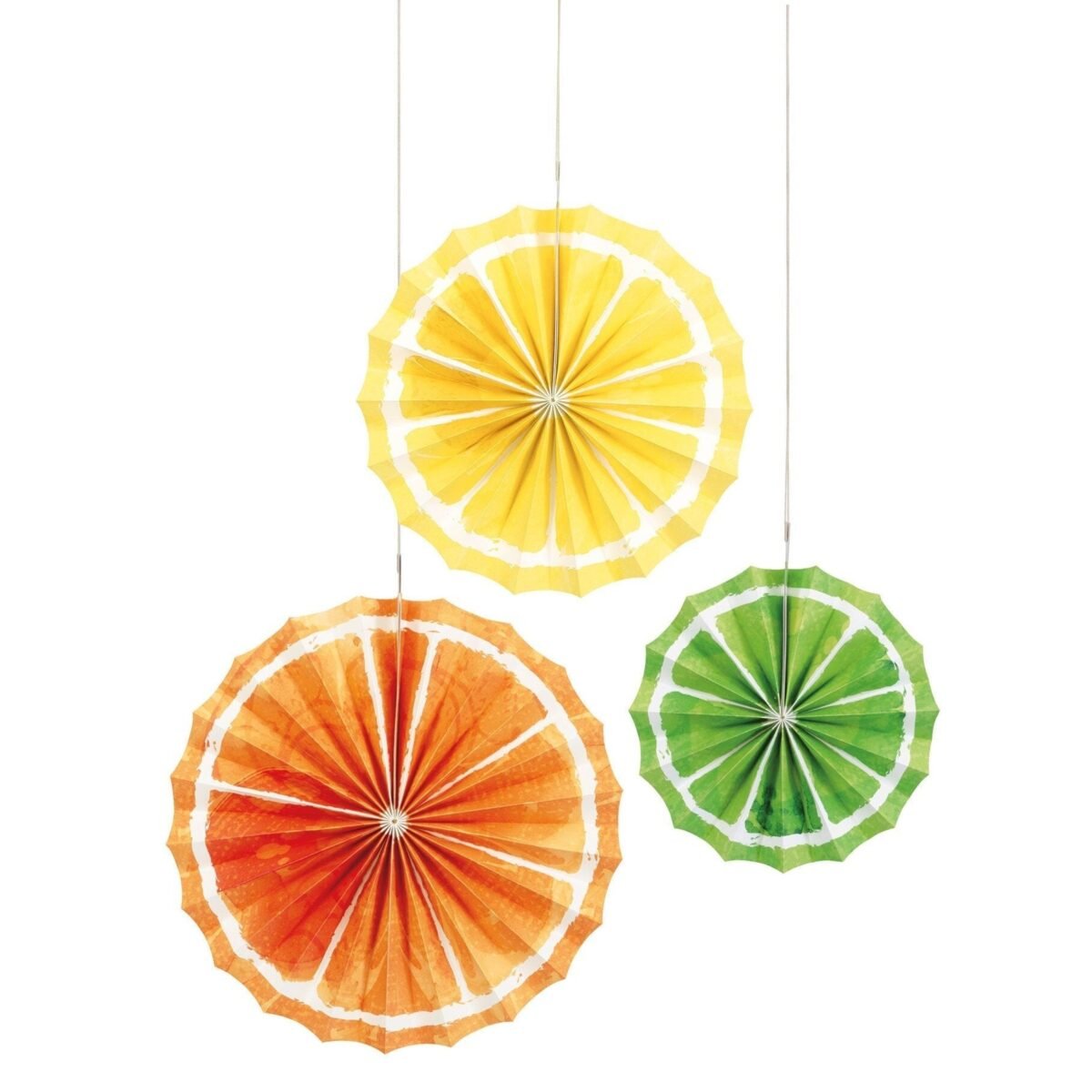 Citrus Party Paper Fans