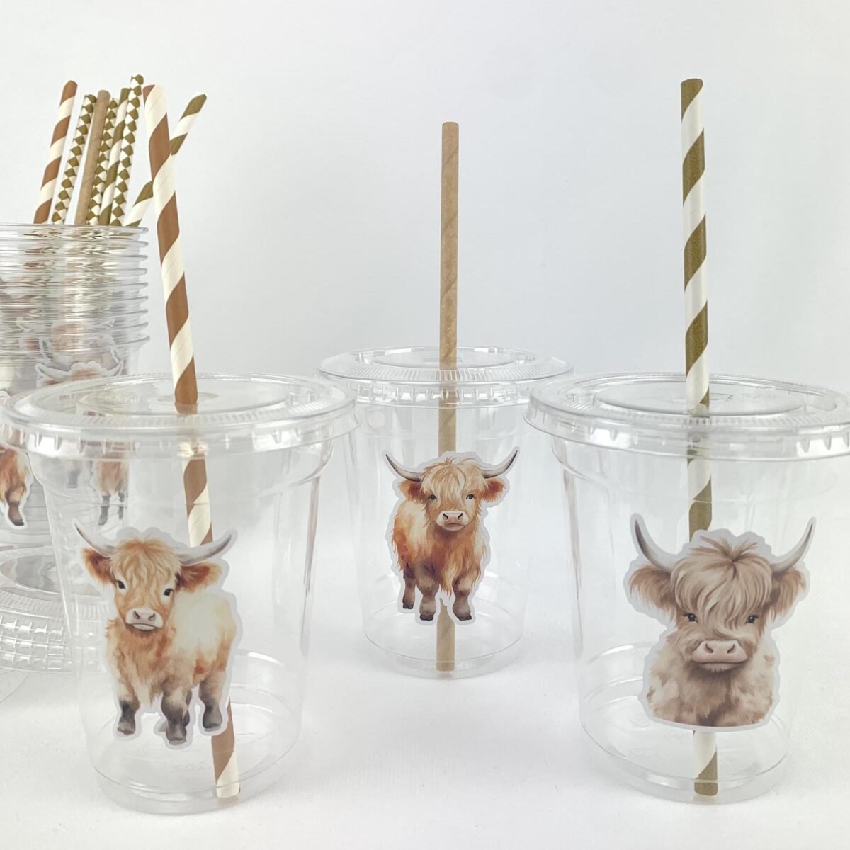 Highland Cow Party Cups